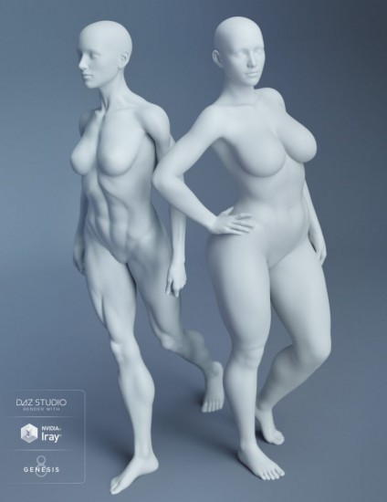 Com www female body Female Anatomy